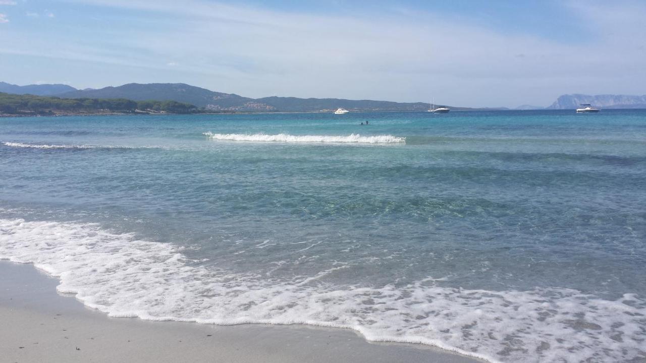 Hotel Cala Mirto Budoni Dış mekan fotoğraf
