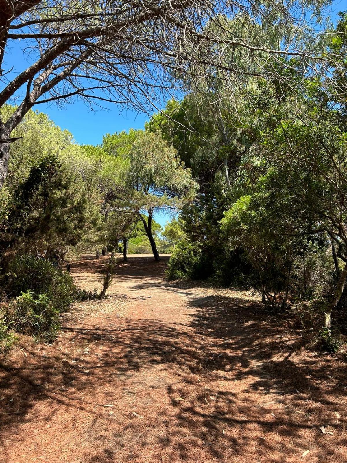 Hotel Cala Mirto Budoni Dış mekan fotoğraf